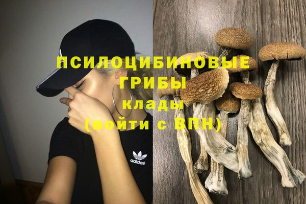 а пвп мука Абдулино