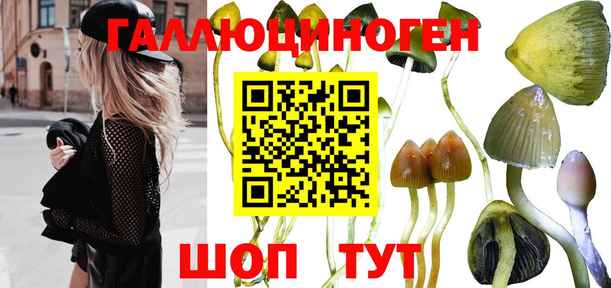 Псилоцибиновые грибы мухоморы Ипатово